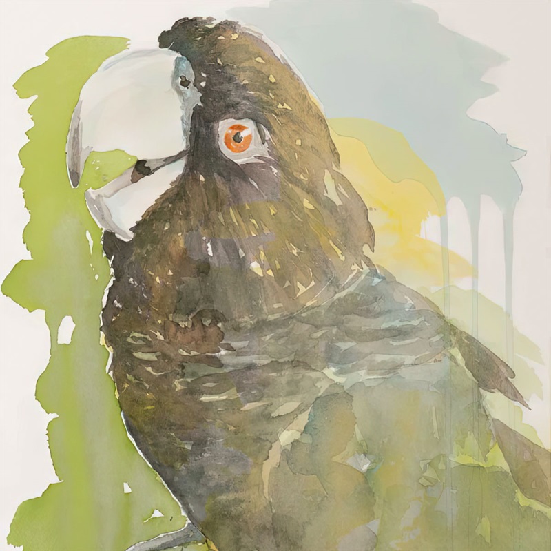 Watercolour painting of parrot - Alana Read Art