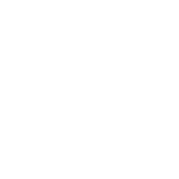 7 News Rockhampton River Festival - Media Partner