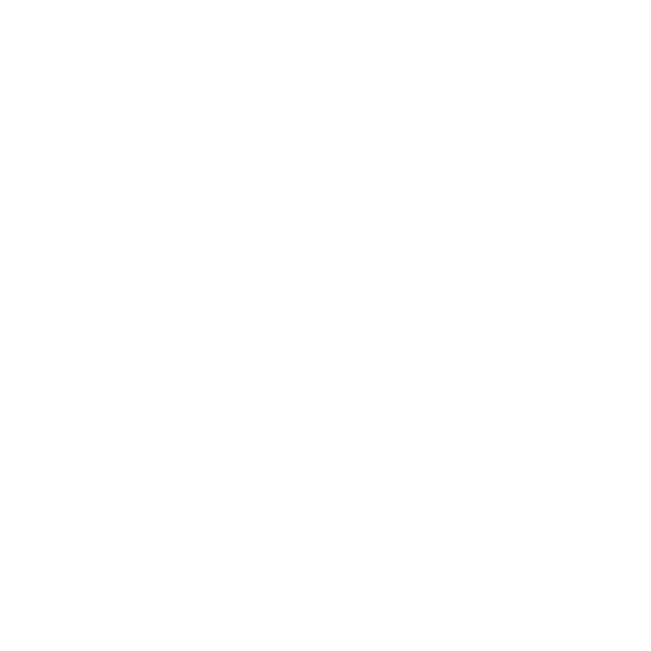 Stylish Events and Hire Rockhampton River Festival Sponsor - In-Kind